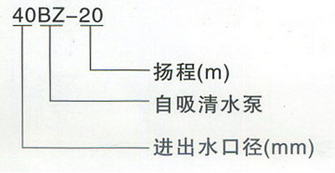 BZ、BZH（专用海水）自吸式离心泵型号